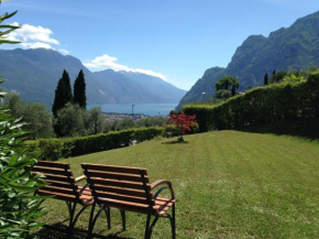 Verde Panorama